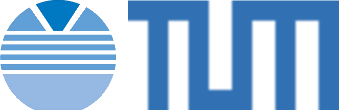 WSI-TUM Logo